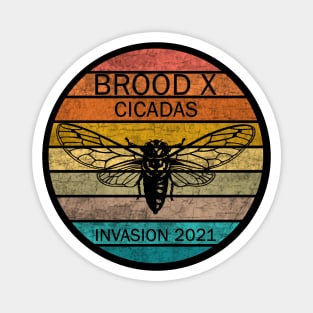 Cicada Brood X 2021 Magnet